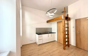 Apartment for rent, 1+KK - Studio, 17m<sup>2</sup>