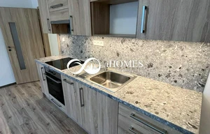 Apartment for rent, 2+kk - 1 bedroom, 111m<sup>2</sup>