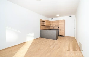 Apartment for rent, 2+kk - 1 bedroom, 55m<sup>2</sup>