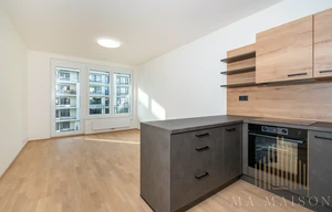 Apartment for rent, 2+kk - 1 bedroom, 55m<sup>2</sup>