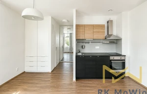 Apartment for rent, 1+KK - Studio, 30m<sup>2</sup>