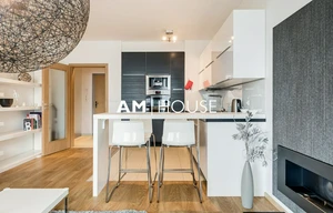 Apartment for rent, 2+kk - 1 bedroom, 55m<sup>2</sup>