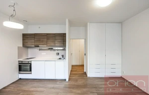 Apartment for rent, 1+KK - Studio, 300m<sup>2</sup>