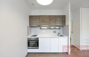 Apartment for rent, 1+KK - Studio, 300m<sup>2</sup>