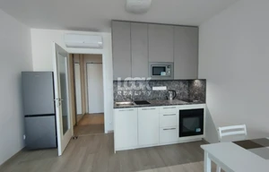 Apartment for rent, 1+KK - Studio, 36m<sup>2</sup>