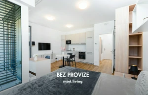 Apartment for rent, 1+KK - Studio, 42m<sup>2</sup>