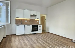 Apartment for rent, 1+KK - Studio, 31m<sup>2</sup>