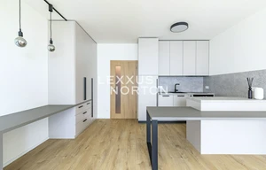 Apartment for rent, 1+KK - Studio, 39m<sup>2</sup>