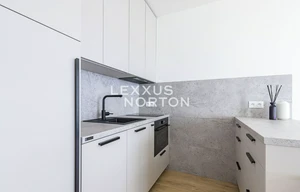 Apartment for rent, 1+KK - Studio, 39m<sup>2</sup>