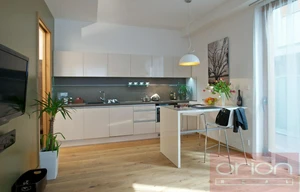 Apartment for rent, 1+KK - Studio, 60m<sup>2</sup>