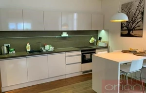 Apartment for rent, 1+KK - Studio, 60m<sup>2</sup>