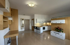 Apartment for rent, 1+KK - Studio, 32m<sup>2</sup>