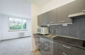 Apartment for rent, 1+KK - Studio, 33m<sup>2</sup>