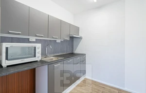 Apartment for rent, 1+KK - Studio, 33m<sup>2</sup>