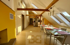 Apartment for rent, 3+kk - 2 bedrooms, 195m<sup>2</sup>