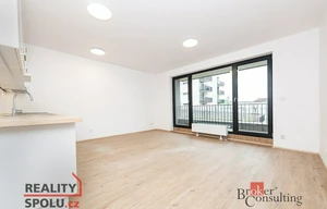 Apartment for rent, 1+KK - Studio, 40m<sup>2</sup>