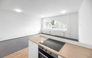 Apartment for rent, 1+KK - Studio, 41m<sup>2</sup>