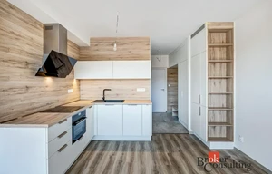 Apartment for rent, 1+KK - Studio, 38m<sup>2</sup>