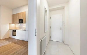Apartment for rent, 1+KK - Studio, 36m<sup>2</sup>
