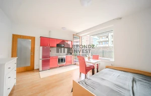 Apartment for rent, 1+KK - Studio, 33m<sup>2</sup>