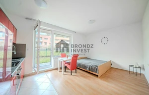 Apartment for rent, 1+KK - Studio, 33m<sup>2</sup>