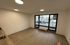 Apartment for rent, 1+KK - Studio, 40m<sup>2</sup>