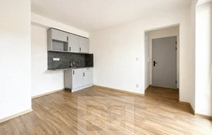 Apartment for rent, 1+KK - Studio, 23m<sup>2</sup>