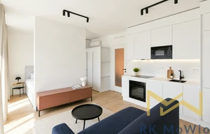 Apartment for rent, 1+KK - Studio, 43m<sup>2</sup>