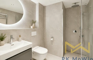 Apartment for rent, 1+KK - Studio, 43m<sup>2</sup>