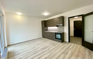 Apartment for rent, 1+KK - Studio, 33m<sup>2</sup>