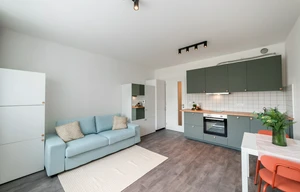 Apartment for rent, 1+KK - Studio, 30m<sup>2</sup>