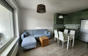 Apartment for rent, 2+kk - 1 bedroom, 49m<sup>2</sup>