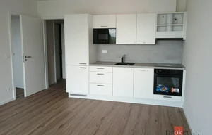 Apartment for rent, 2+kk - 1 bedroom, 52m<sup>2</sup>