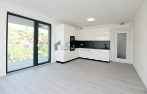 Apartment for rent, 2+kk - 1 bedroom, 60m<sup>2</sup>