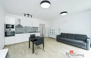 Apartment for rent, 1+KK - Studio, 39m<sup>2</sup>