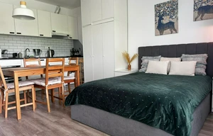 Apartment for rent, 1+KK - Studio, 32m<sup>2</sup>