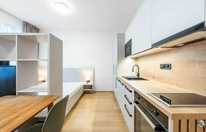Apartment for rent, 1+KK - Studio, 28m<sup>2</sup>