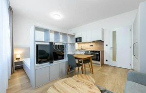 Apartment for rent, 1+KK - Studio, 28m<sup>2</sup>