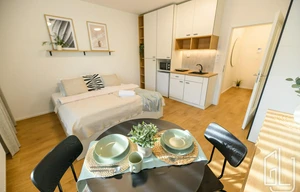 Apartment for rent, 1+KK - Studio, 28m<sup>2</sup>