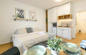 Apartment for rent, 1+KK - Studio, 28m<sup>2</sup>