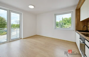 Apartment for rent, 2+kk - 1 bedroom, 46m<sup>2</sup>