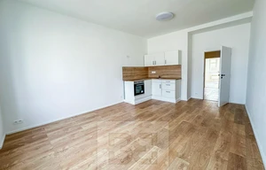 Apartment for rent, 2+kk - 1 bedroom, 51m<sup>2</sup>