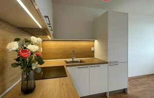 Apartment for rent, 2+kk - 1 bedroom, 57m<sup>2</sup>