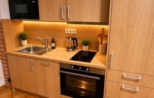 Apartment for rent, 1+KK - Studio, 41m<sup>2</sup>