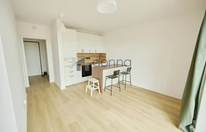 Apartment for rent, 1+KK - Studio, 44m<sup>2</sup>