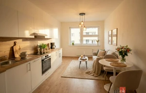 Apartment for rent, 1+KK - Studio, 26m<sup>2</sup>