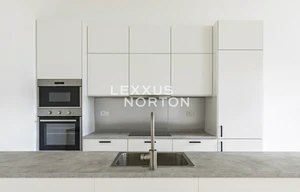 Apartment for rent, 2+kk - 1 bedroom, 90m<sup>2</sup>