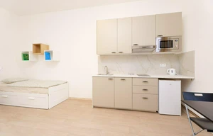 Apartment for rent, 1+KK - Studio, 335m<sup>2</sup>