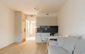 Apartment for rent, 1+KK - Studio, 36m<sup>2</sup>