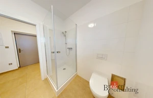 Apartment for rent, 1+KK - Studio, 24m<sup>2</sup>